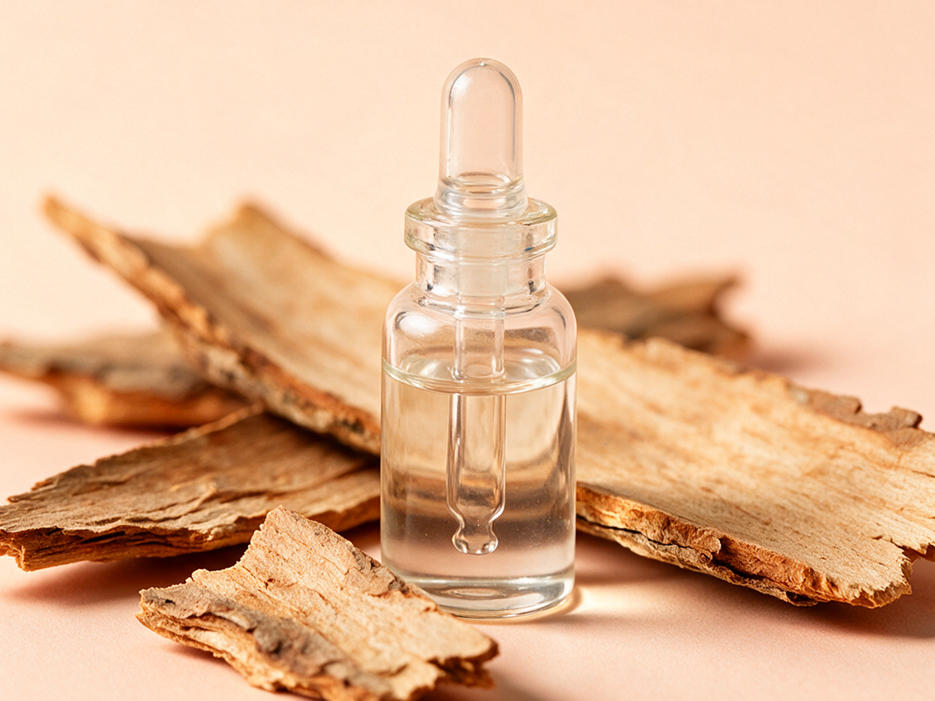 Camphor Bark Oil