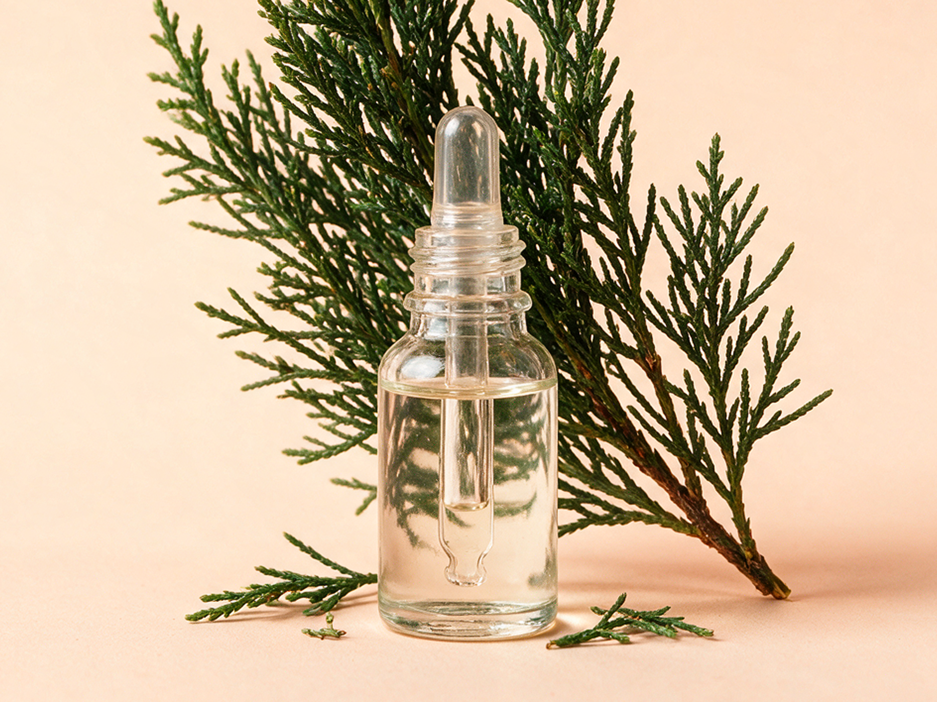 Cypress Leaf Oil 