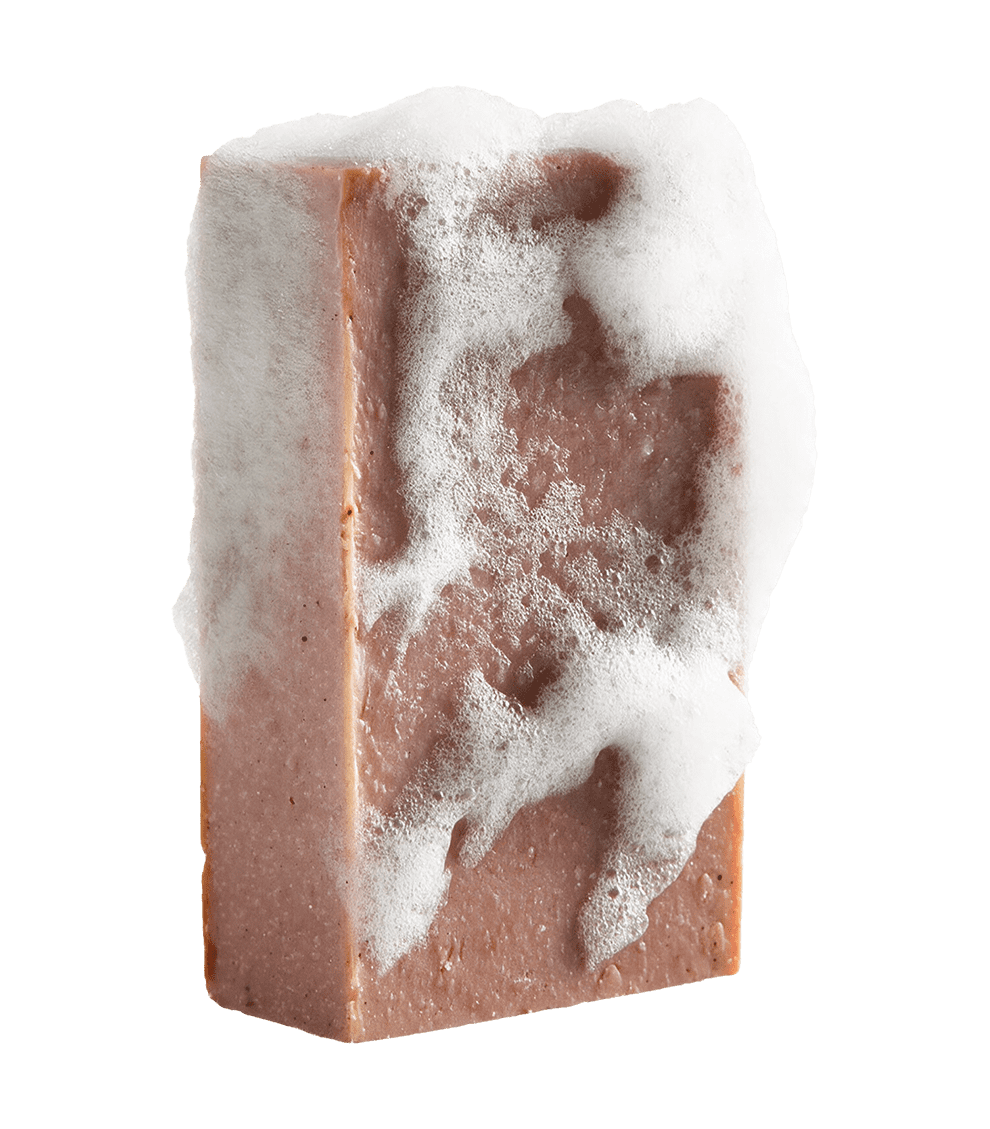Pine & Paddle Bar Soap